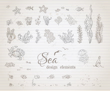 Vector Set Of Vintage Sea Life Design Elements.