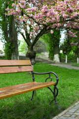 Poster - Paved road and bench in a green park