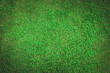 Background of grass field with green clover