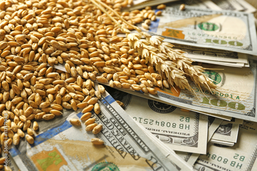 Dollar banknotes and wheat grains. Agricultural income concept