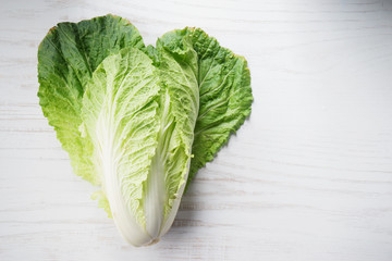 Wall Mural - napa cabbage, Chinese cabbage