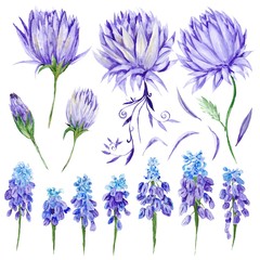 Wall Mural - Watercolor Purple Flowers Set