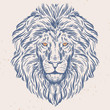 Hand drawn lion head illustration