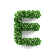 Green Leaves E Ecology Letter Alphabet Font
