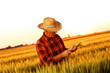 © Zoran Zeremski - Senior farmer in a field examining wheat crop at sunset.