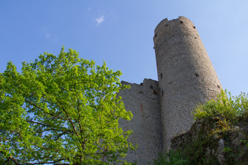 Wall Mural - Château d'Andlau Alsace Vosges