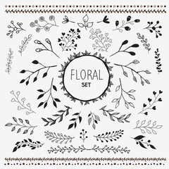 Wall Mural - Hand Drawn Vector Floral elements
