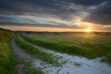 Wall Mural - cornish countryside sunset scene in the summer fields with track running into distance and beautiful
