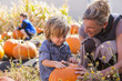 © Marc Romanelli/Blend Images - Caucasian mother and son in pumpkin patch