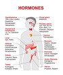 Endocrine gland and hormones