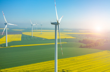 sunset above the windmills on the field