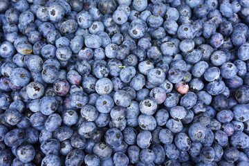 blueberry background