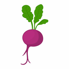 Wall Mural - Beet icon in cartoon style