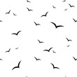 Birds vector seamless pattern