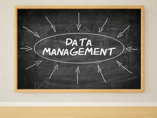 Wall Mural - Data Management