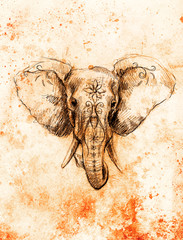 Poster - Elephant with floral ornament, pencil drawing on paper. Color effect and Computer collage.
