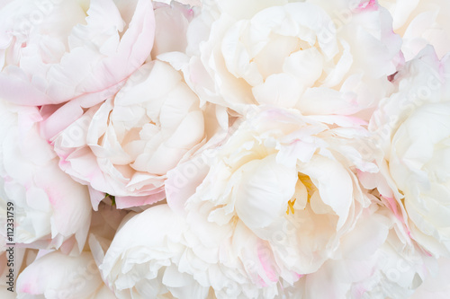 Beautiful floral background Billede på lærred