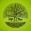 Hand drawn vector sketch tree with roots. Ecology, environment. Nature