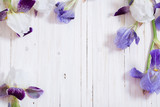 iris on white wooden background