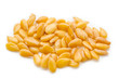 Golden linseed or flax seeds.