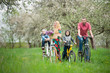 © anatoliy_gleb - Happy family on a bicycles in the spring garden. Father and son on bikes, mom holding bike and baby sitting in bicycle chair, in the basket lay a bouquet of lilacs