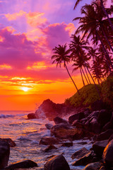 palm trees on tropical beach at sunset