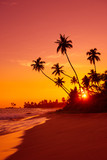 Fototapeta Zachód słońca - Warm sunset on tropical beach