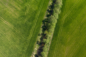 aerial view of harvest fields