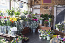 Colorful Display Of Flowers In Florists Shop 