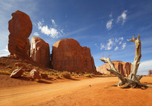 Dead Trunk And Red Rock Formation In Monument Valley