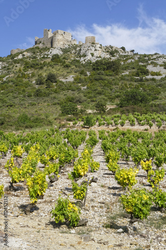 фотография Le château d'Aguilar au dessus des vignes