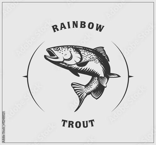 Fotografía Illustration of rainbow trout.