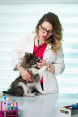 veterinarian