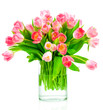 Tulips in the vase on white background