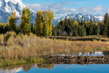 Schwabachers Landing