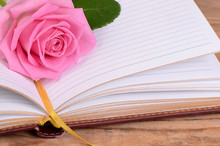 The Rose On The Book