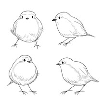 Hand Drawn Line Art Set Of Cute Different Robin Birds