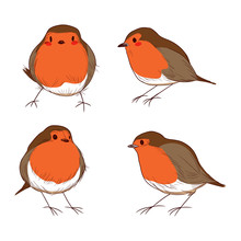 Set Of Different Hand Drawn Color Cute Robin Birds