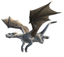 Elegant Dragon Isolated On White Background 3d Illustration