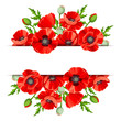Vector background banner with red poppies.