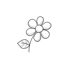 Sticker - Flower sketch icon.