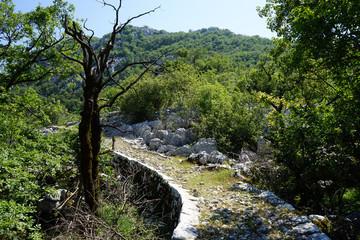 Wall Mural - Old road