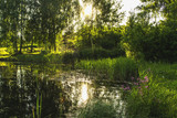 Fototapeta Krajobraz - Summer landscape;, rural pond and sunbeams