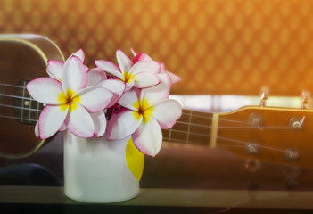 Wall Mural - Plumeria or frangipani flowers in cup with ukulele and vinatge b