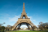 Fototapeta Boho - Eiffel Tower from the Champs de Mars, Paris