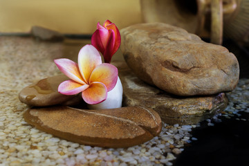 Wall Mural - Sweet pink yellow flower plumeria or frangipani on pebble rock i