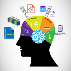 Software developer brain and different phases of the software development process.