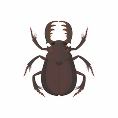 Poster - Bug icon, cartoon style