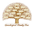 Vintage Genealogical Family Tree. Hand drawn sketch vector illustration
