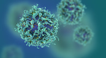 Cg Render Of T-cells Or Cancer Cells